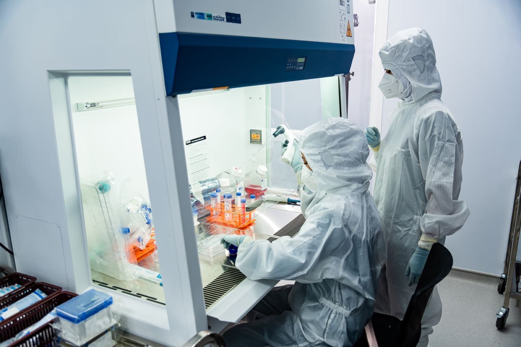 Two scientists working together at a biosafety cabinet